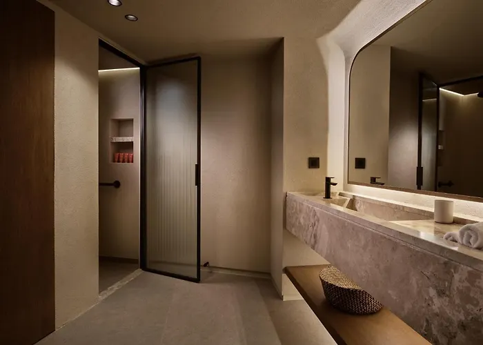 酒店 Omeon Mykonos 5*