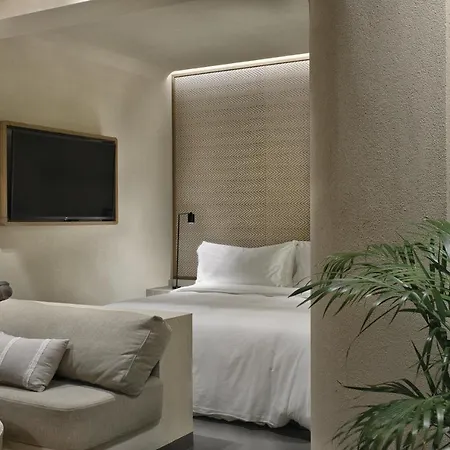 Otel Omeon Mykonos